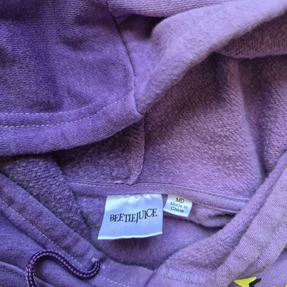 Beetle Juice Purple Color Block Graphic Hoodie Size M/L - Picture 2 of 7